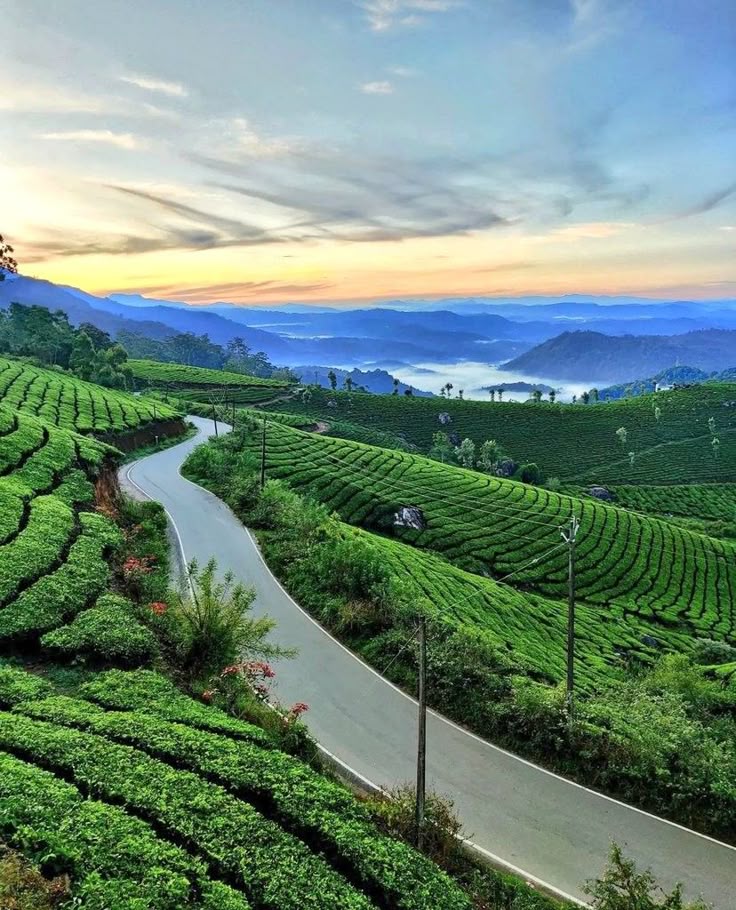Kerala, India 🇮🇳